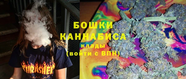 гидра Баксан