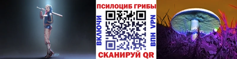 блэк спрут сайт  Моршанск  Галлюциногенные грибы MAGIC MUSHROOMS 